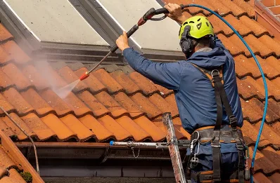 Démoussage et hydrofuge de toiture à Laborde
